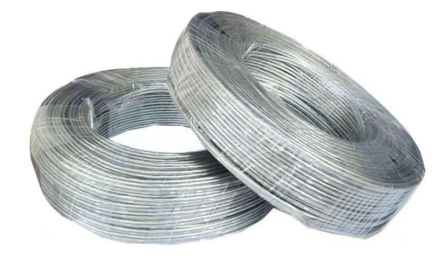 2 PIN WIRE WHITE CLEAR (10FT)