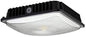 CANOPY LIGHT LED 40W 5000K