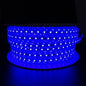 LED Rope Light Blue JS