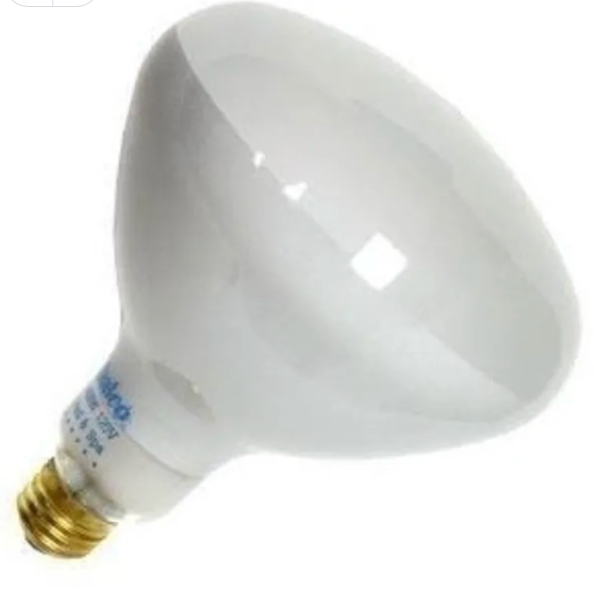 Pool Light 400w R40 120v