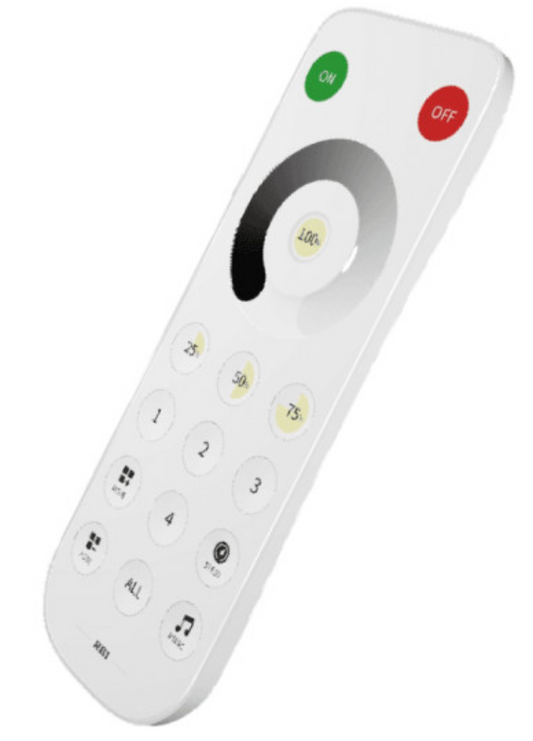 REMOTE CHASING SINGLE COLOR IC REMOTE